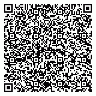 vCard 79294000380