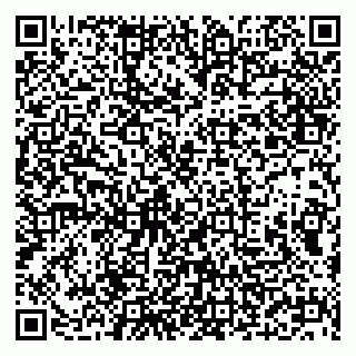 vCard 79294000399