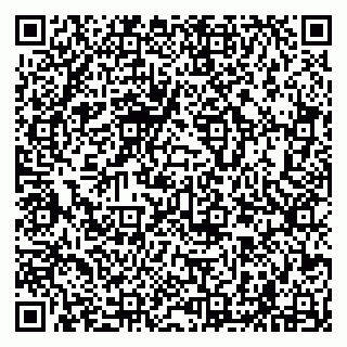 vCard 79294000539