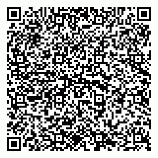 vCard 79294000739