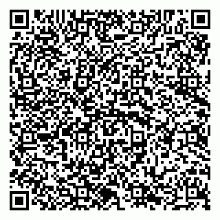vCard 79294000777