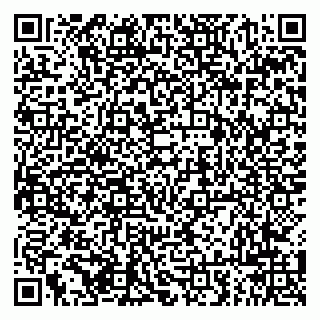 vCard 79294000839