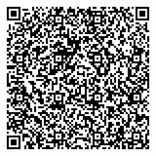 vCard 79294000973