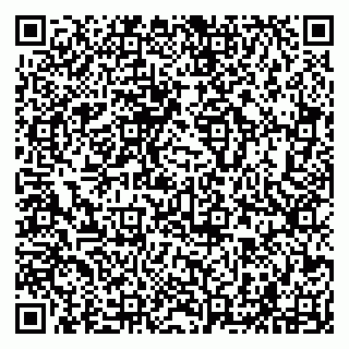 vCard 79294001039