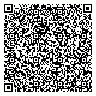 vCard 79294001239