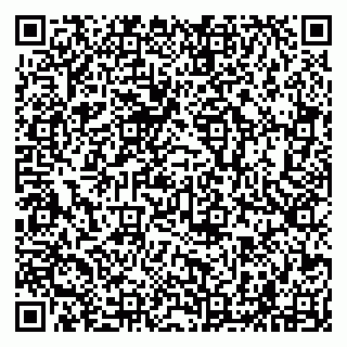 vCard 79294001299