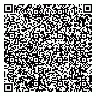 vCard 79294001300