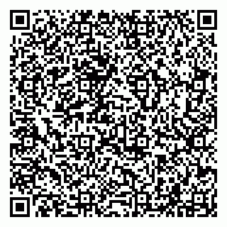 vCard 79294001339