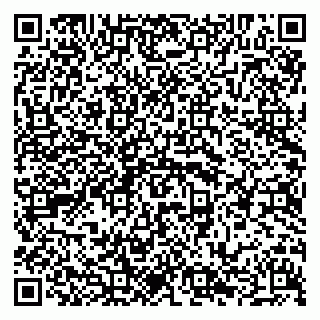 vCard 79294001363