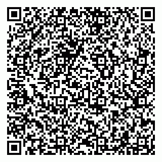 vCard 79294001373