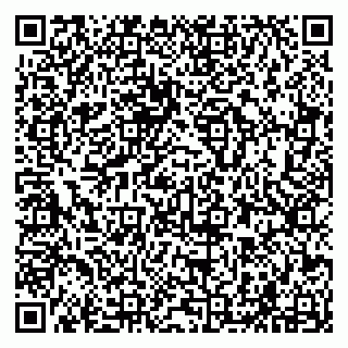 vCard 79294002839