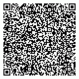 vCard 79294003039