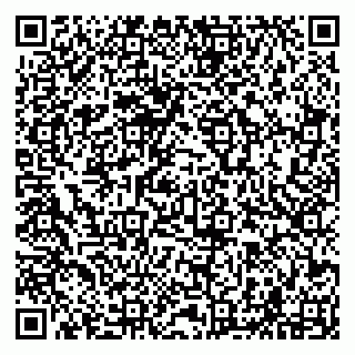 vCard 79294003120