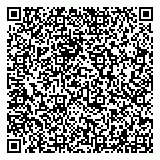 vCard 79294003180