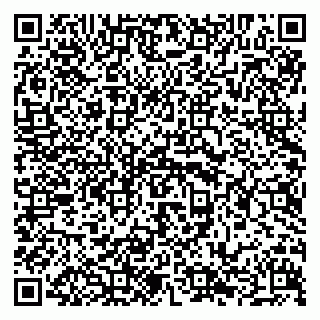 vCard 79294003839