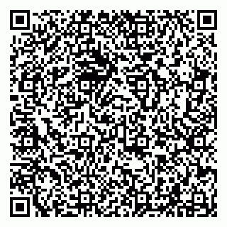 vCard 79294004539