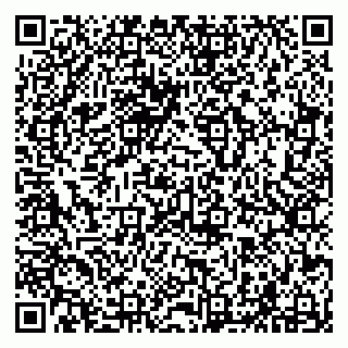 vCard 79294004739