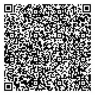 vCard 79294005039