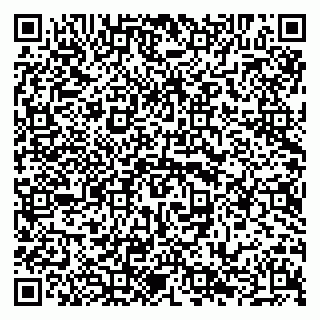 vCard 79294006133