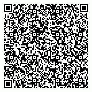vCard 79294006403