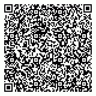 vCard 79294006633