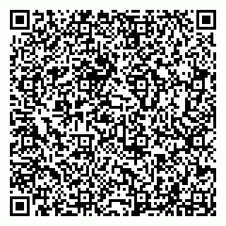 vCard 79294007639