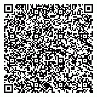 vCard 79294008039