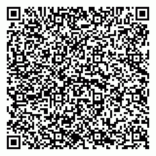 vCard 79294008539