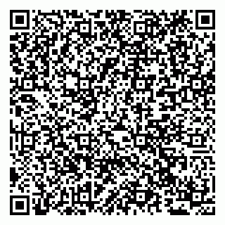 vCard 79294009039