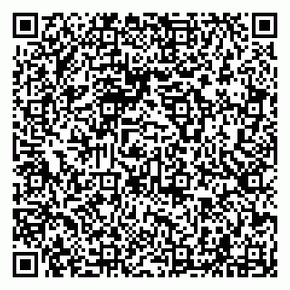 vCard 79294009652