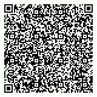 vCard 79294009701