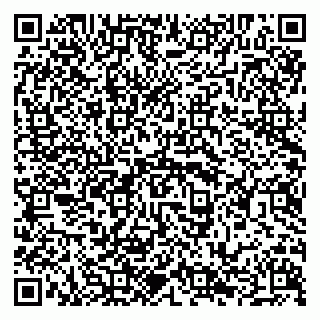 vCard 79294009753