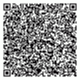 vCard 79294009781