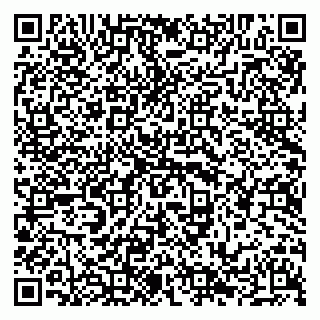 vCard 79294010002