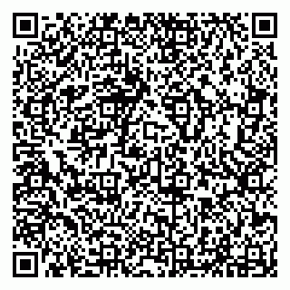 vCard 79294010039