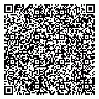 vCard 79294010221