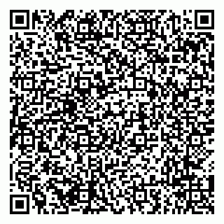 vCard 79294010229