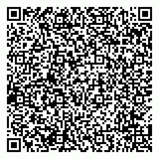 vCard 79294010240