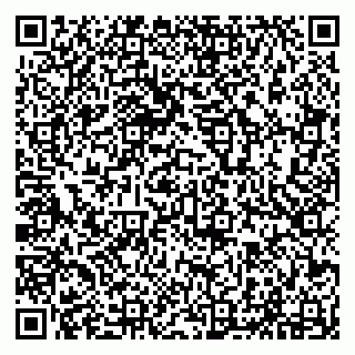 vCard 79294010248