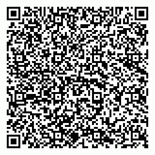 vCard 79294010276