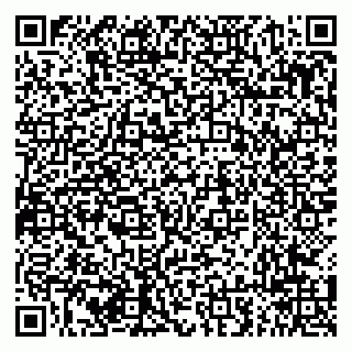 vCard 79294010308