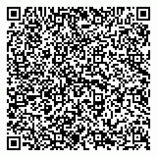 vCard 79294010318