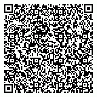 vCard 79294010338