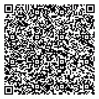 vCard 79294010374