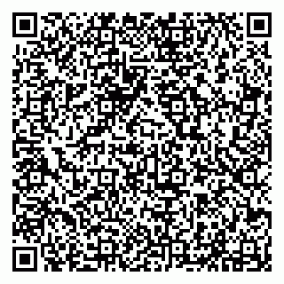 vCard 79294010402