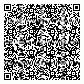 vCard 79294010539
