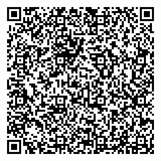 vCard 79294010633