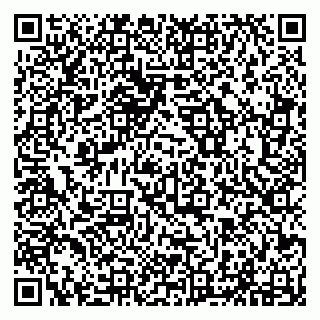 vCard 79294010647