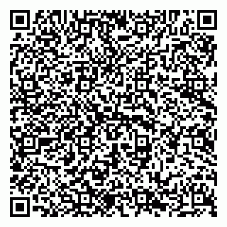 vCard 79294010697