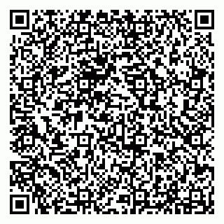 vCard 79294010704